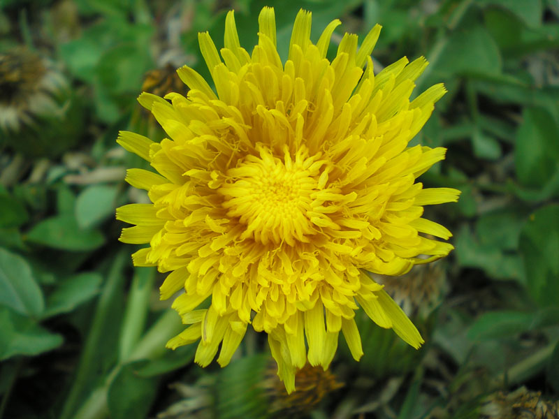 P5020261