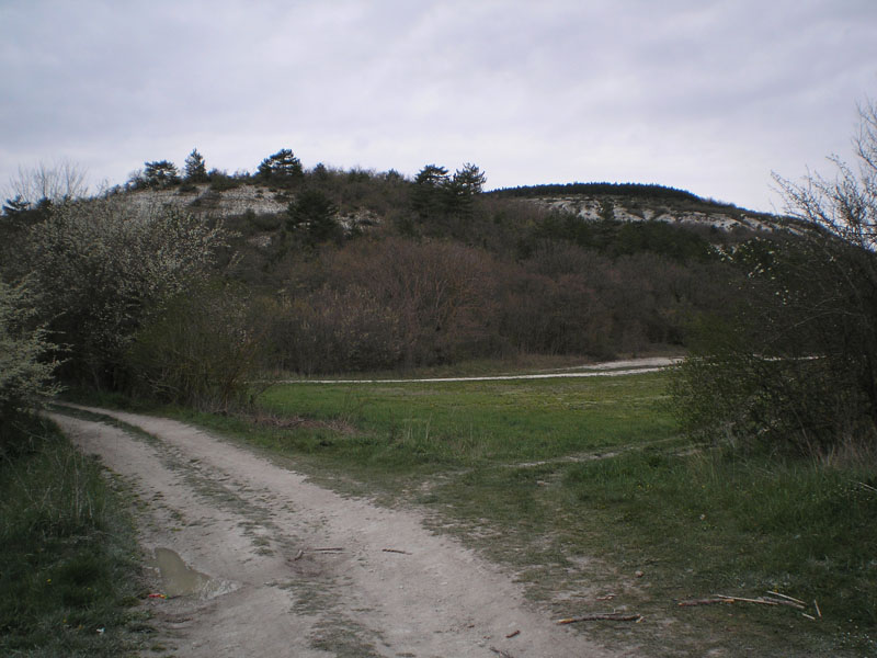 P5020264