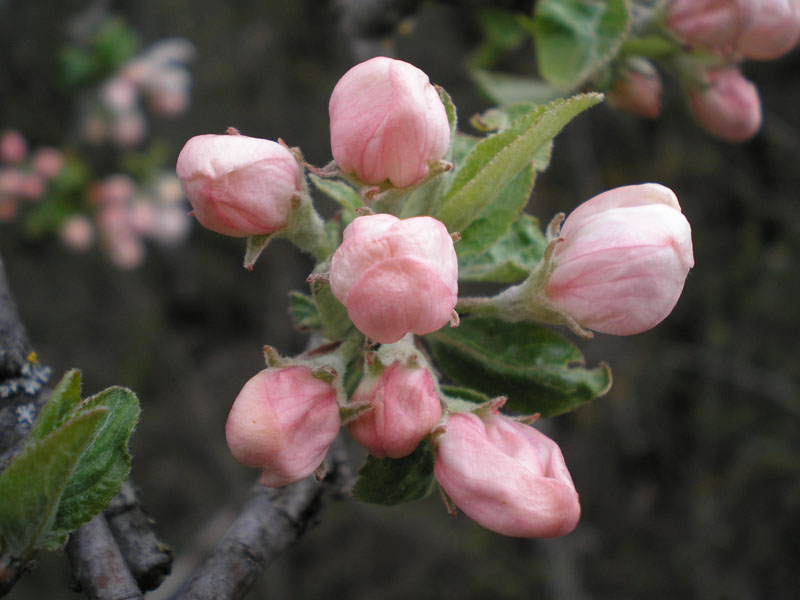 P5020267