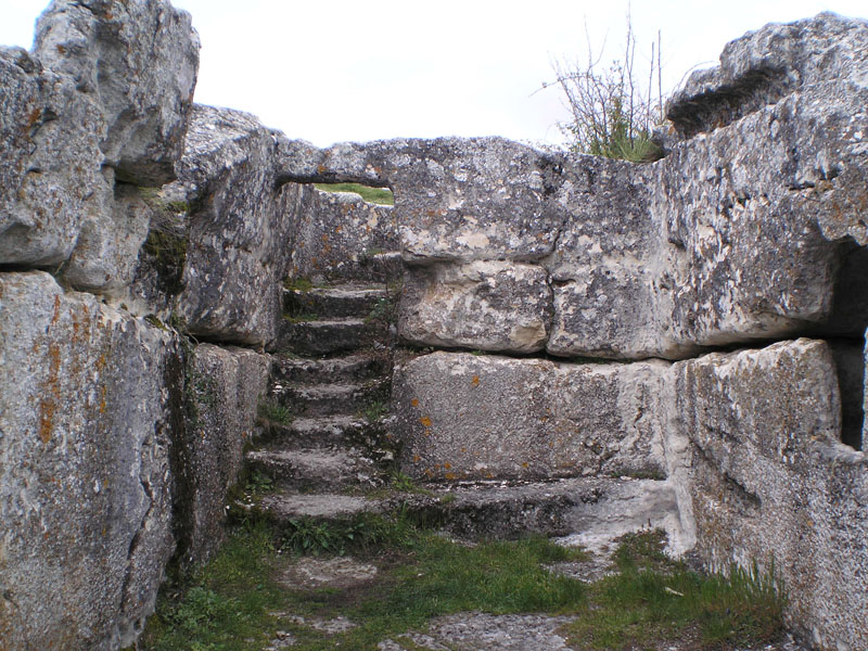 P5020283