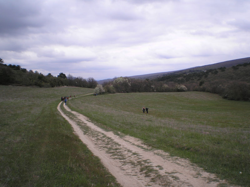 P5020293