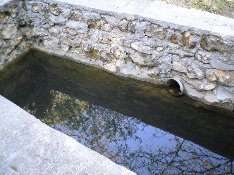 P5030311