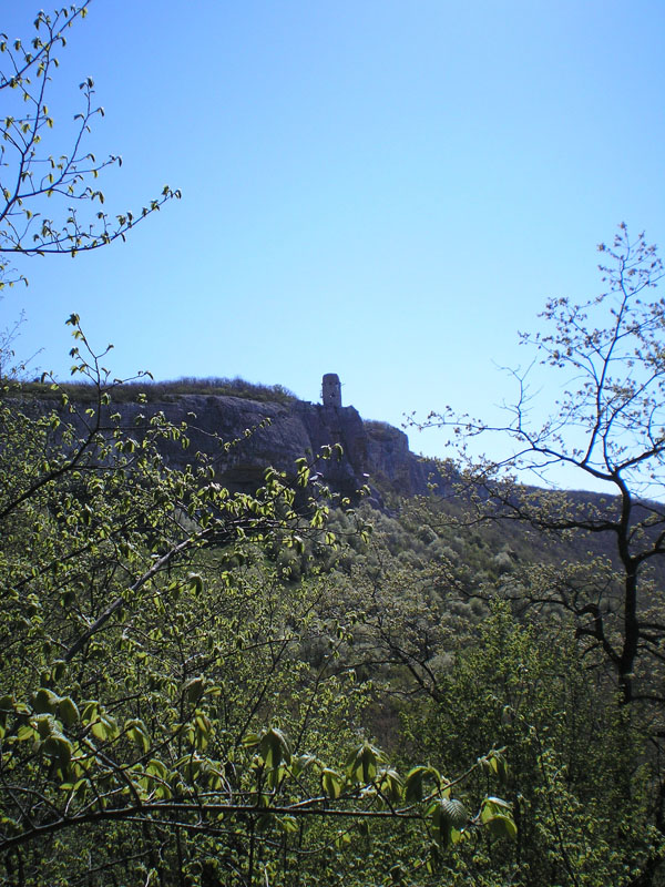 P5030325