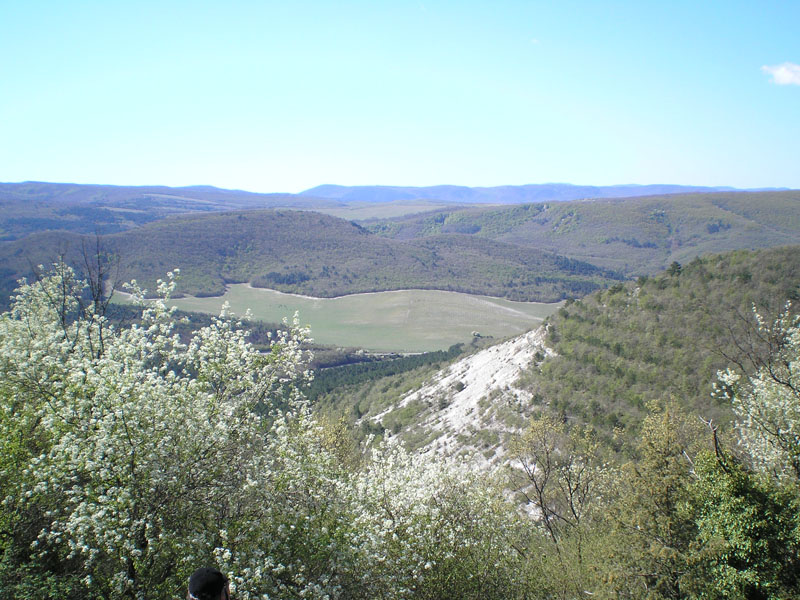 P5030334