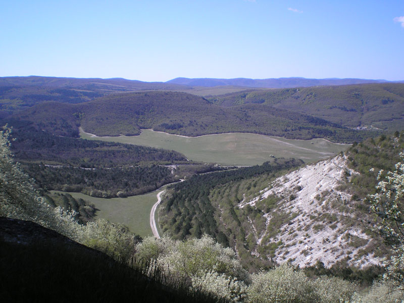 P5030339