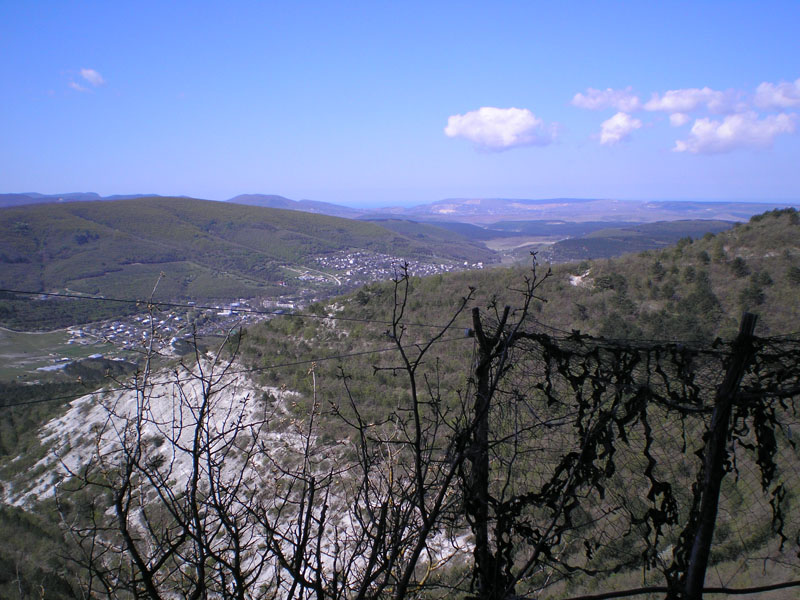 P5030352