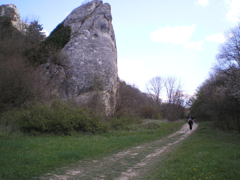 P5030361