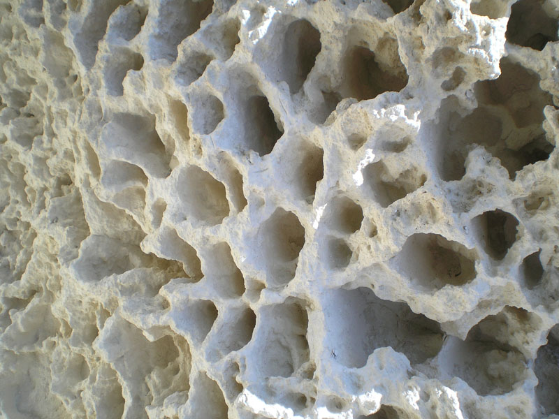 P5030406