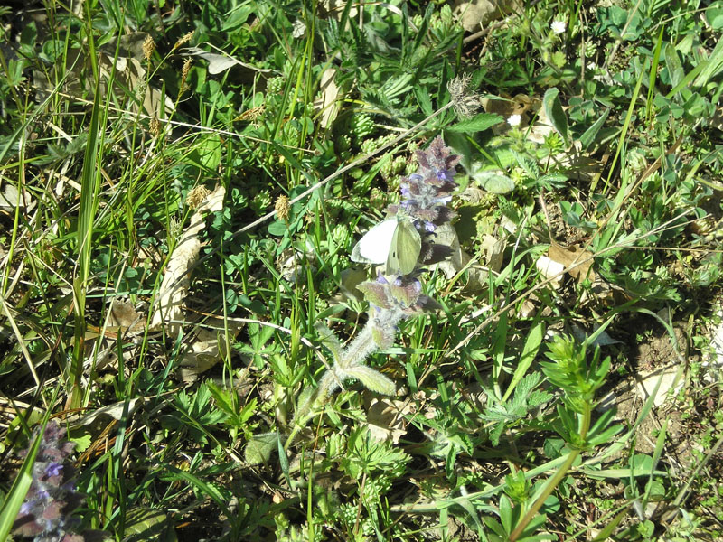 P5030415