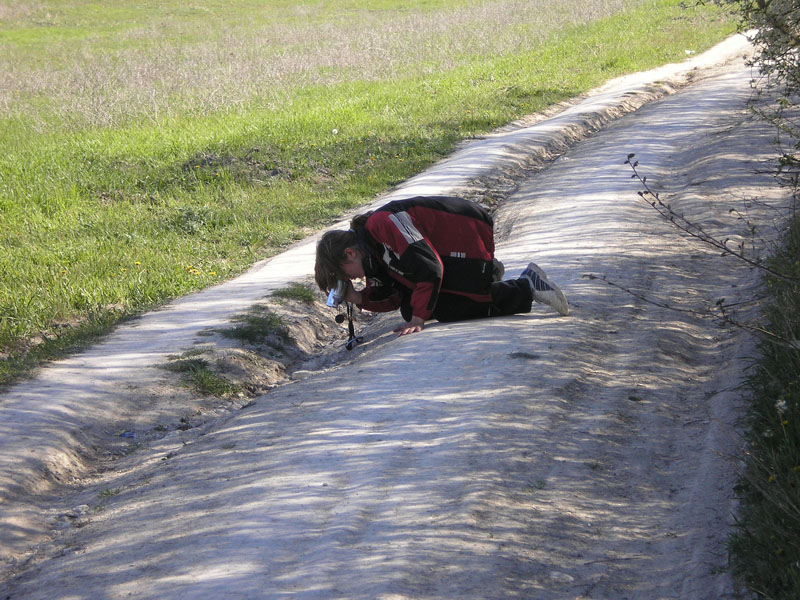 P5030427