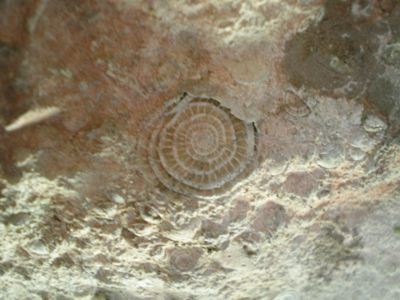 P5030440