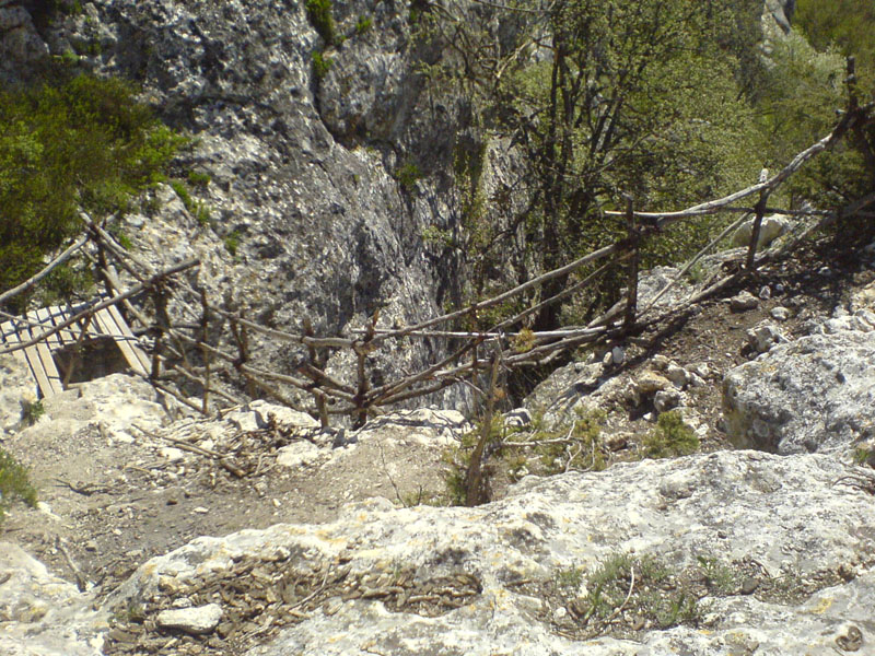 DSC02320
