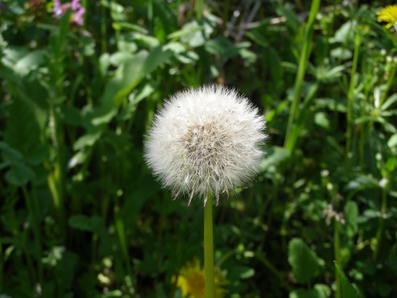 130
